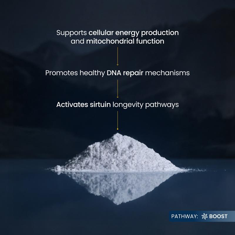 Outback Origins™ NMN Pure Powder