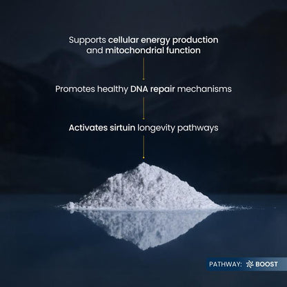 Outback Origins™ NMN Pure Powder